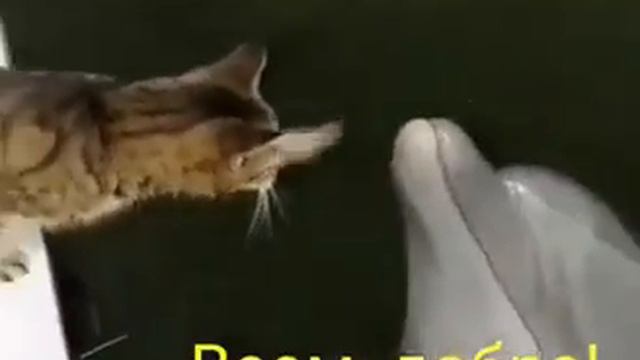 Всем добра!