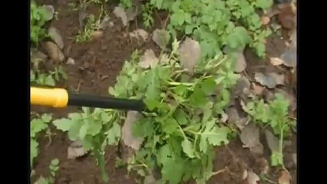 Культиватор Торнадо мини смотреть онлайн