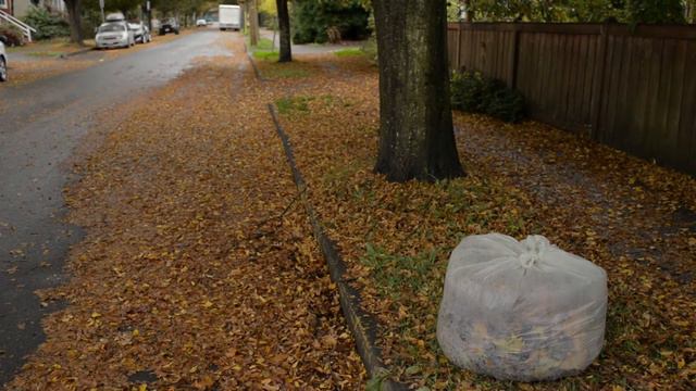 Fall Leaf Pick-up Program смотреть онлайн