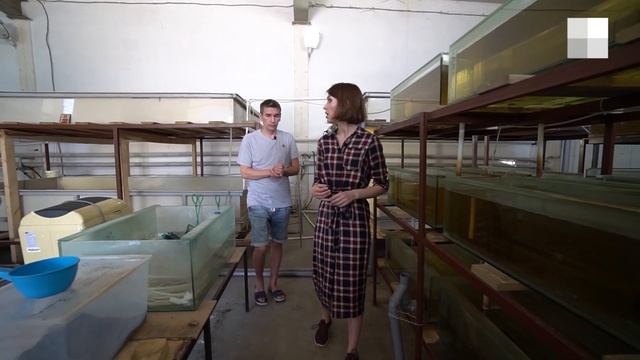 Бизнес на раках | 72.RU смотреть онлайн