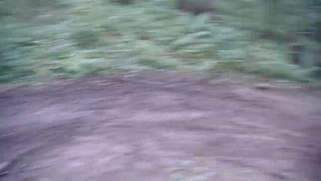 видео с фотокамеры 14