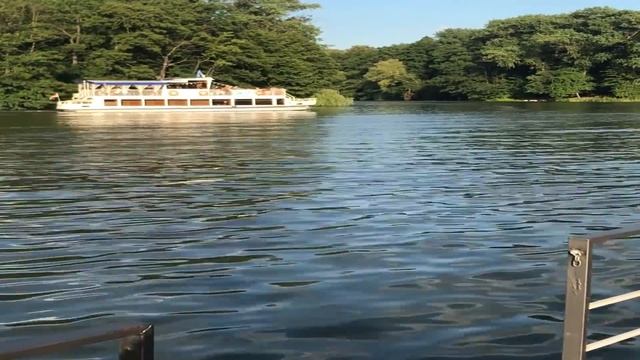 Зять пошёл с тещей в подвал за огурцами, такого никто не ожидал.Жизненные интересные истории.Истори смотреть онлайн