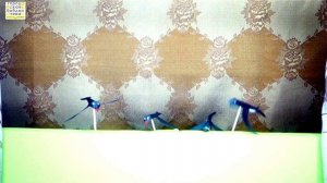 Стрижонок Скрип