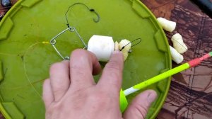 ТЕХНИКА ЛОВЛИ ТОЛСТОЛОБА