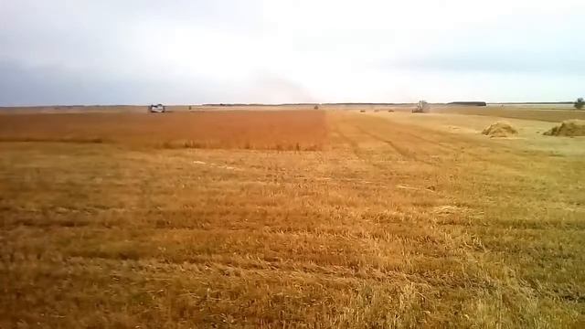 Молотим пшеницу в 4 вектора смотреть онлайн