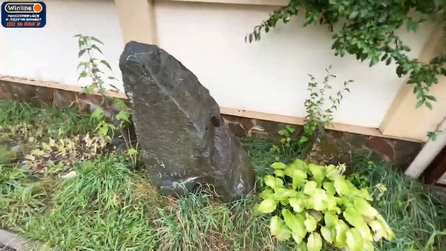 СВИДАНИЕ КОРЕША И КАИ смотреть онлайн