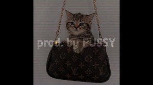 Эту сумку мне муж купил, эти Rolex муж купил... ЗА ДЕНЬГИ ДААА