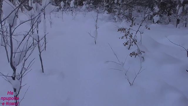 В тайгу на буране до избушки на 4 дня (3 часть) смотреть онлайн