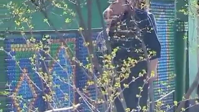Уникальный забор из пластиковых крышек. смотреть онлайн