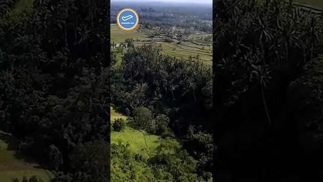 Ужесточения по Таиланду, а вы туда поедете? #shorts смотреть онлайн