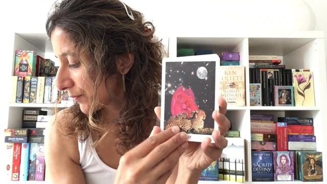 First impressions | Vision of the Muse Oracle смотреть онлайн