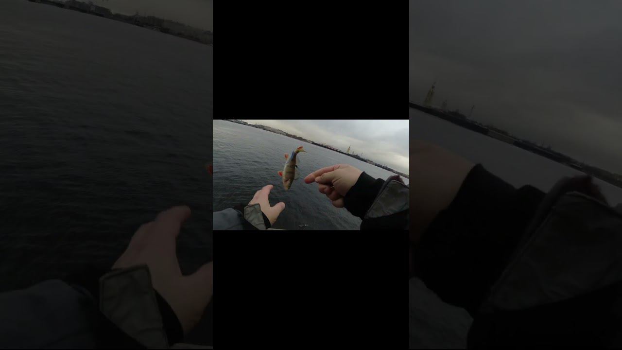 Поймал окуня за жопу :-) смотреть онлайн