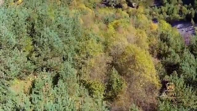 Национальный парк "Алания смотреть онлайн