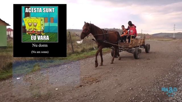 Top 10 Things Romania Has STOLEN смотреть онлайн
