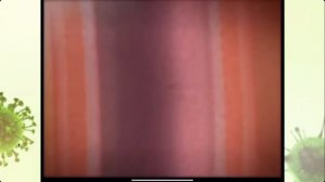 БЕЗОПАСНОЕ ОЧИЩЕНИЕ ОРГАНИЗМА. День 1 (НЦ)