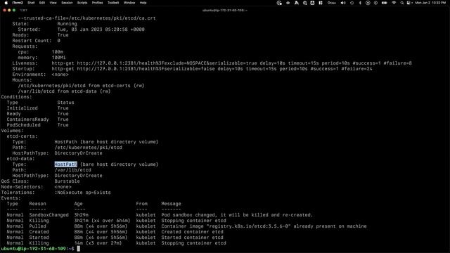 Backing up a K8s cluster using etcdctl | Part 1 #kubernetes смотреть онлайн