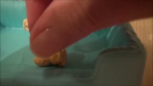 Распаковка игрушки BARBIE Собака рожает! Новая кукла с собакой и щенками Беременная собачка  у БАРБ