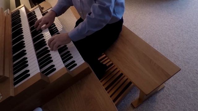 12. O Traurigkeit, O Herzeleid | Op. 15 Papperitz | OAM 1885 Ladegast Sampleset, Hauptwerk VI смотреть онлайн