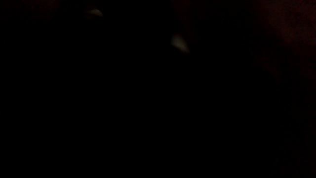 Слежка за родителями в 1:00 ночи смотреть онлайн