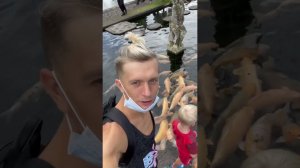 Милана Филимонова Кормит Рыбок на БАЛИ!