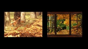 гр Суровый Февраль   Ветер Осенний