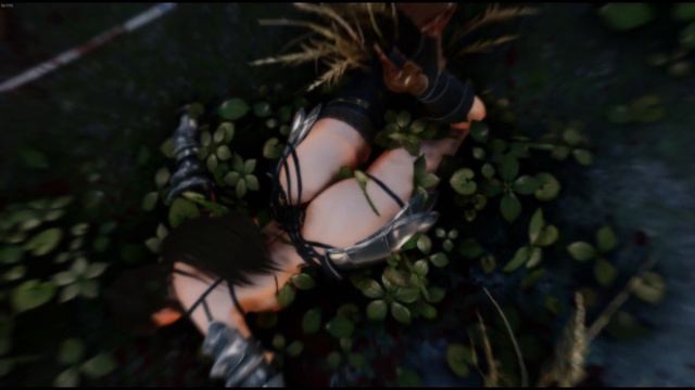 Skyrim Ryona Death 01 смотреть онлайн