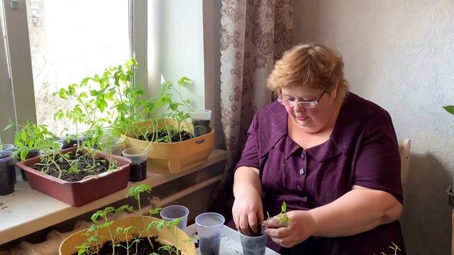 Как сегодня мы провели выходной день