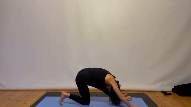 Практика асан. смотреть онлайн