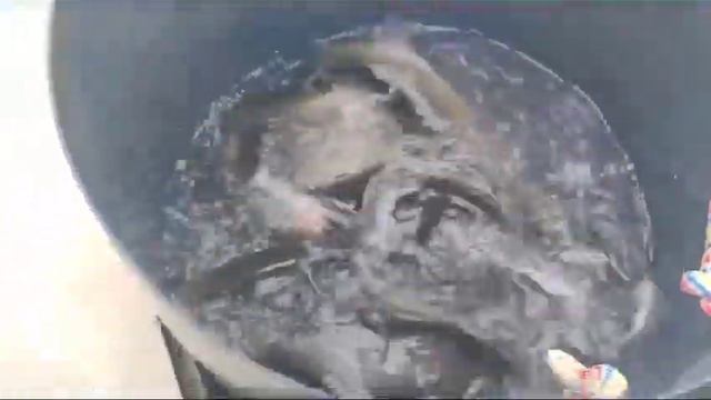 Пополнения садков форелью , навеска от 1,3 - 2,3 кг . Всех ждём в гости . смотреть онлайн