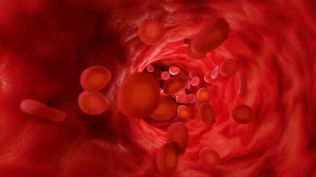Circulatory System for Kids | Learn all about how blood travels through the body смотреть онлайн