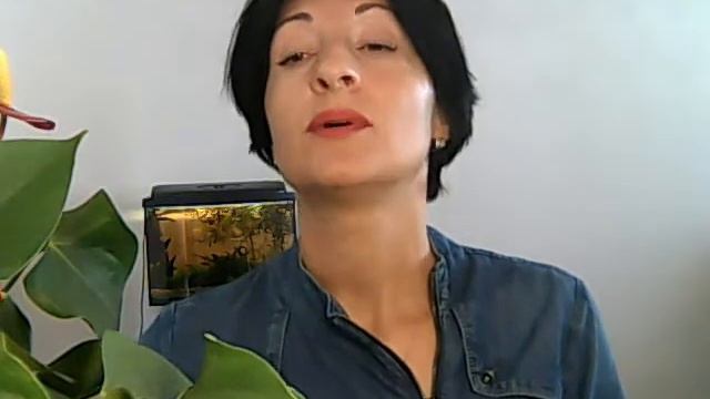 Как вылечить рак? смотреть онлайн