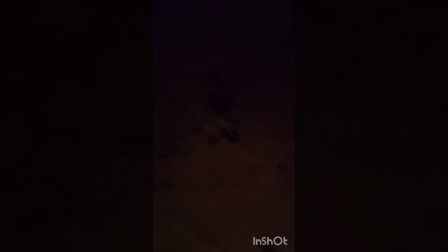 шашлык  был вкусный сейчас год 2023 ноября 19