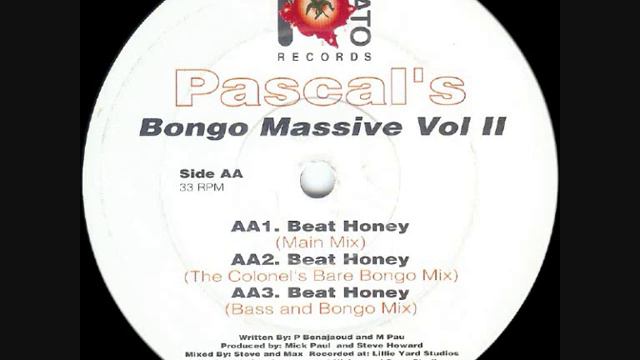 Pascal's Bongo Massive - Beat Honey смотреть онлайн