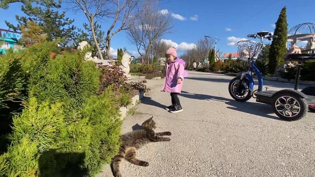 К Ангелине ПРИШЁЛ КОТИК! смотреть онлайн