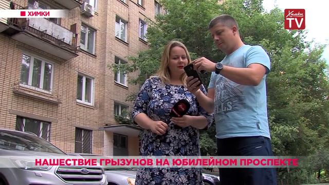 Нашествие грызунов на Юбилейном проспекте. 03.07.19 смотреть онлайн