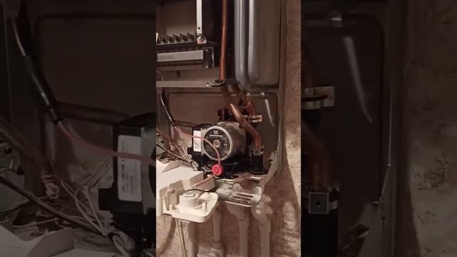 Диагностика газового котла Immergas eolo star 24. ошибка E27.заклинивание циркуляционного насоса. смотреть онлайн