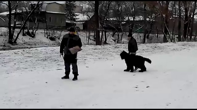 VID-20171224-WA0000 смотреть онлайн