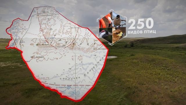 Природа Актюбинской области! смотреть онлайн