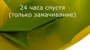 ПЛЕСЕНЬ. Как почистить рулонные шторы от плесени?//Мой уютный дом