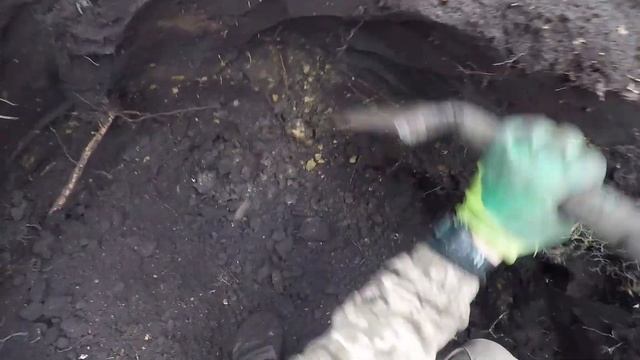 ШУРФ В ЛЕСУ. Продолжаем шурфить место, где я нашел КЛАД. Сигналы ещё есть. Коп 2021 смотреть онлайн