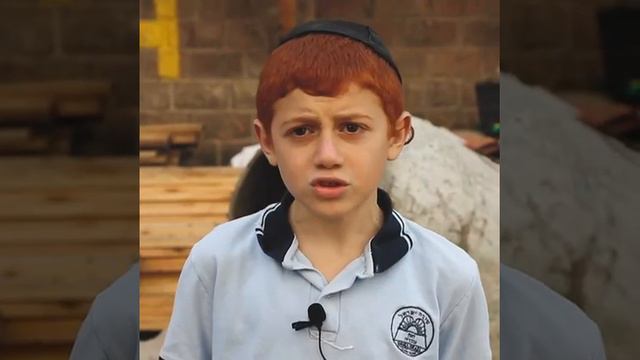 SUMATE YA FALTA POCO! #construyendofuturo смотреть онлайн