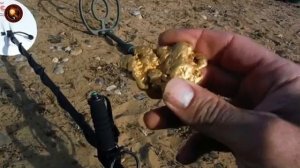 Топ 5 дорогих металлоискателей