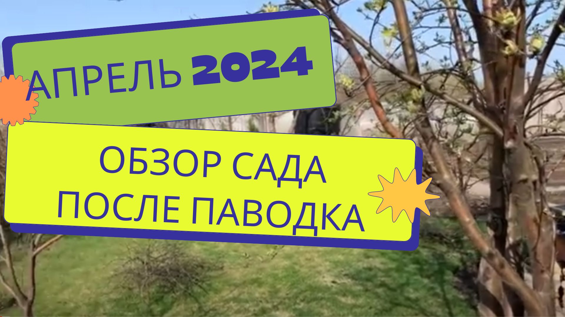 Прогулка по саду после паводка. 22 апреля 2024 года