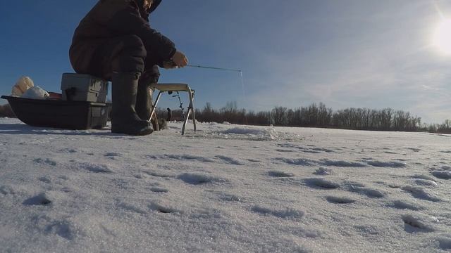 ЛОВЛЯ СУДАКА! РАБОЧИЕ ВИБЫ(РАТЛИНЫ).