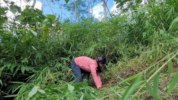 Full video: 60 days of building a farm life, a solo life.