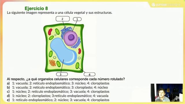 PAES | Biología | Resolución Ensayo Final Parte 1 смотреть онлайн