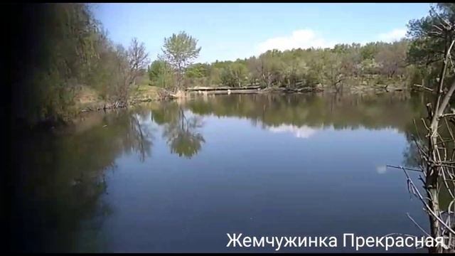 Наша прогулка возле пруда. смотреть онлайн