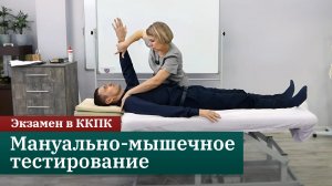 Экзамен по прикладной кинезиологии в ККПК. Мануально-мышечное тестирование