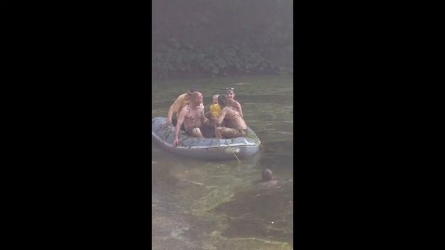 Самый чистый водоем! смотреть онлайн