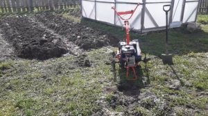 Мотоблок Агат:  Первая культивация в жизни и первые ошибки